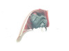  PILOTO TRASERO DERECHO PEUGEOT 207 SW 