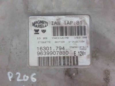 CENTRALITA MOTOR UCE, PEUGEOT, 206