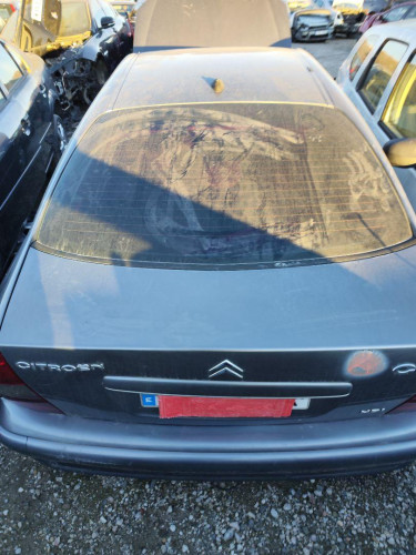 PORTON TRASERO Citroen C5 BERLINA 