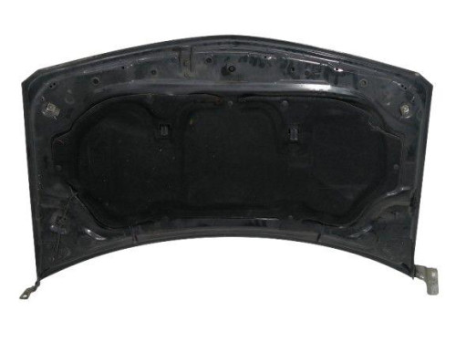  CAPO, RENAULT, MEGANE II COUPE/CABRIO 