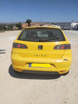 SEAT IBIZA (6L1)