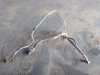 TUBOS AIRE ACONDICIONADO Opel ASTRA H GTC 