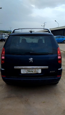 PORTON TRASERO Peugeot 807 (2002->)
