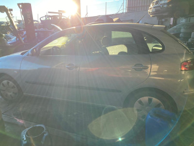 SEAT IBIZA (6L1)