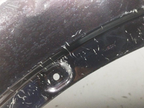  ALETA DELANTERA IZQUIERDA Nissan QASHQAI (J10) 