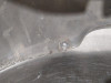  PARAGOLPES TRASERO RENAULT CLIO II FASE I (B/CB0) 