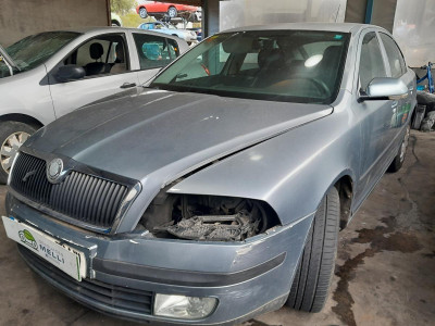 SKODA OCTAVIA BERLINA (1Z3)