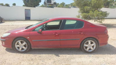 PEUGEOT 407
