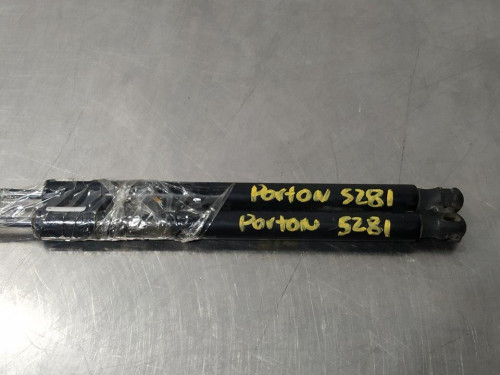  AMORTIGUADORES MALETERO / PORTON, FORD, B-MAX (CB2) 