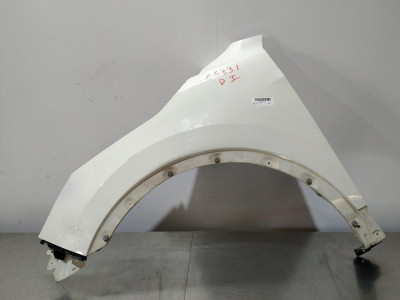 ALETA DELANTERA IZQUIERDA, NISSAN, QASHQAI (J11E)