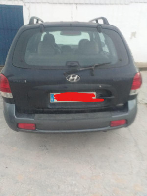 HYUNDAI SANTA FE (SM)