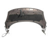  CAPO, RENAULT, SCENIC III (JZ) 