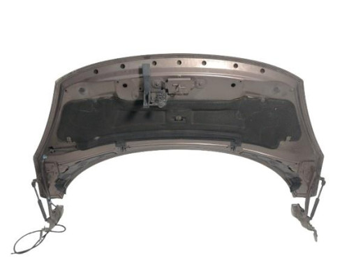  CAPO, RENAULT, SCENIC III (JZ) 