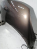  CAPO, RENAULT, SCENIC III (JZ) 