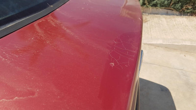 PORTON TRASERO Citroen C5 Berlina (2001->)