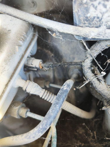 SERVOFRENO Opel CORSA C 