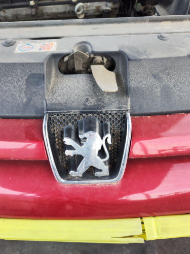 REJILLA DELANTERA PEUGEOT 307 (S1)(04.2001) 