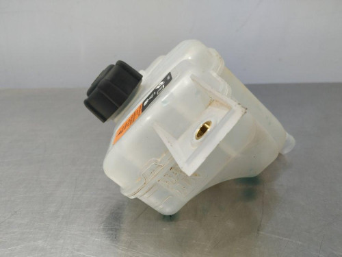  DEPOSITO EXPANSION Nissan QASHQAI (J11E) 