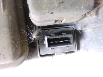 FARO DERECHO, Fiat, BRAVA (182)
