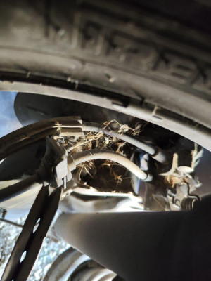 MANGUETA TRASERA DERECHA