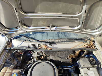 ARTICULACION LIMPIA DELANTERA