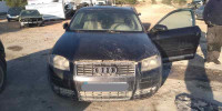 AUDI A3 (8P1)