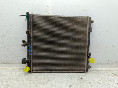 RADIADOR AGUA, Citroen, C2