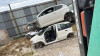  FIAT II PANDA (169) 