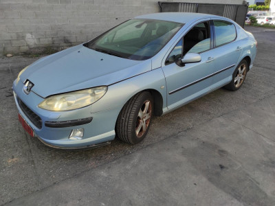 PEUGEOT 407