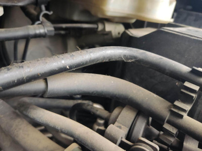BOMBA FRENO, FORD, FOCUS BERLINA (CAP)