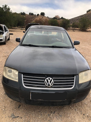 VOLKSWAGEN PASSAT BERLINA (3B3)