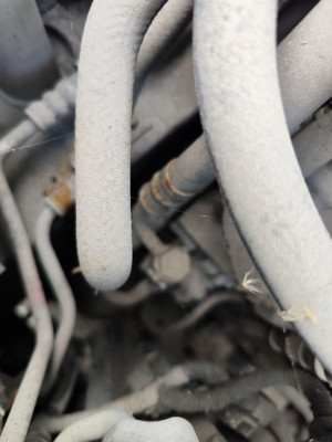 TUBO PRESION DIRECCION ASISTIDA