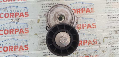 TENSOR CORREA AUXILIAR, Peugeot, 206 SW