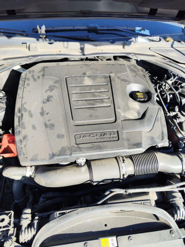 TAPA MOTOR Jaguar XE 