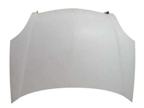  CAPO, RENAULT, KANGOO I (F/KC0) 