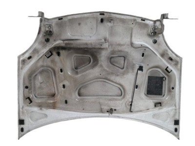 CAPO, RENAULT, KANGOO I (F/KC0)