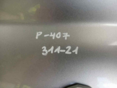 PORTON TRASERO, Peugeot, 407