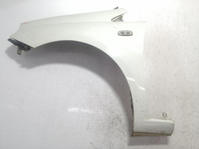 ALETA DELANTERA IZQUIERDA, FIAT, III EVO PUNTO (199)