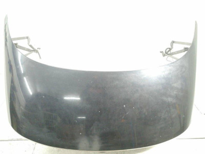 PORTON TRASERO, VOLKSWAGEN, EOS (1F7)(2006)
