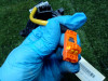  ANILLO AIRBAG, CITROEN, C1 AIRSCAPE 
