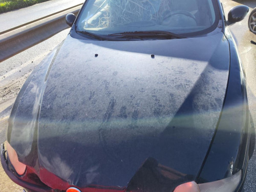  CAPO, ALFA ROMEO, 147 (190) 