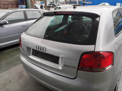 PORTON TRASERO, AUDI, A3 (8P1)