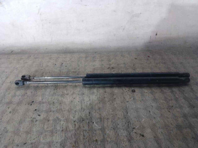 AMORTIGUADORES MALETERO / PORTON, RENAULT, SCENIC II (JM)