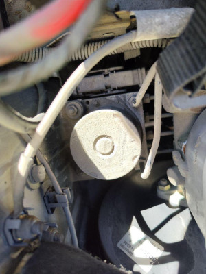 ABS, FIAT, II PANDA (169)