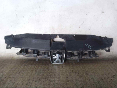 REJILLA DELANTERA Peugeot 307 (S1)(04.2001) 