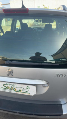 BRAZO LIMPIA TRASERO Peugeot 307 Break/ SW (S2)(06.2005->)