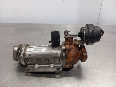 ENFRIADOR EGR, RENAULT, LAGUNA II (BG0)