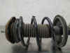  AMORTIGUADOR DELANTERO DERECHO TOYOTA COROLLA VERSO (R1) 