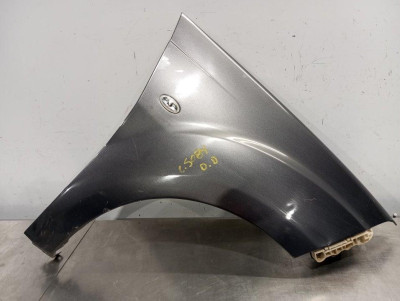 ALETA DELANTERA DERECHA, PEUGEOT, 4007