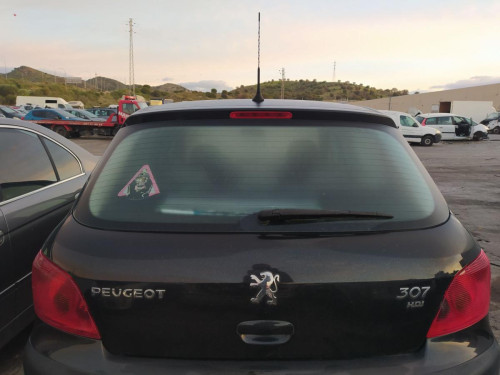  PEUGEOT 307 (S1)(04.2001) 